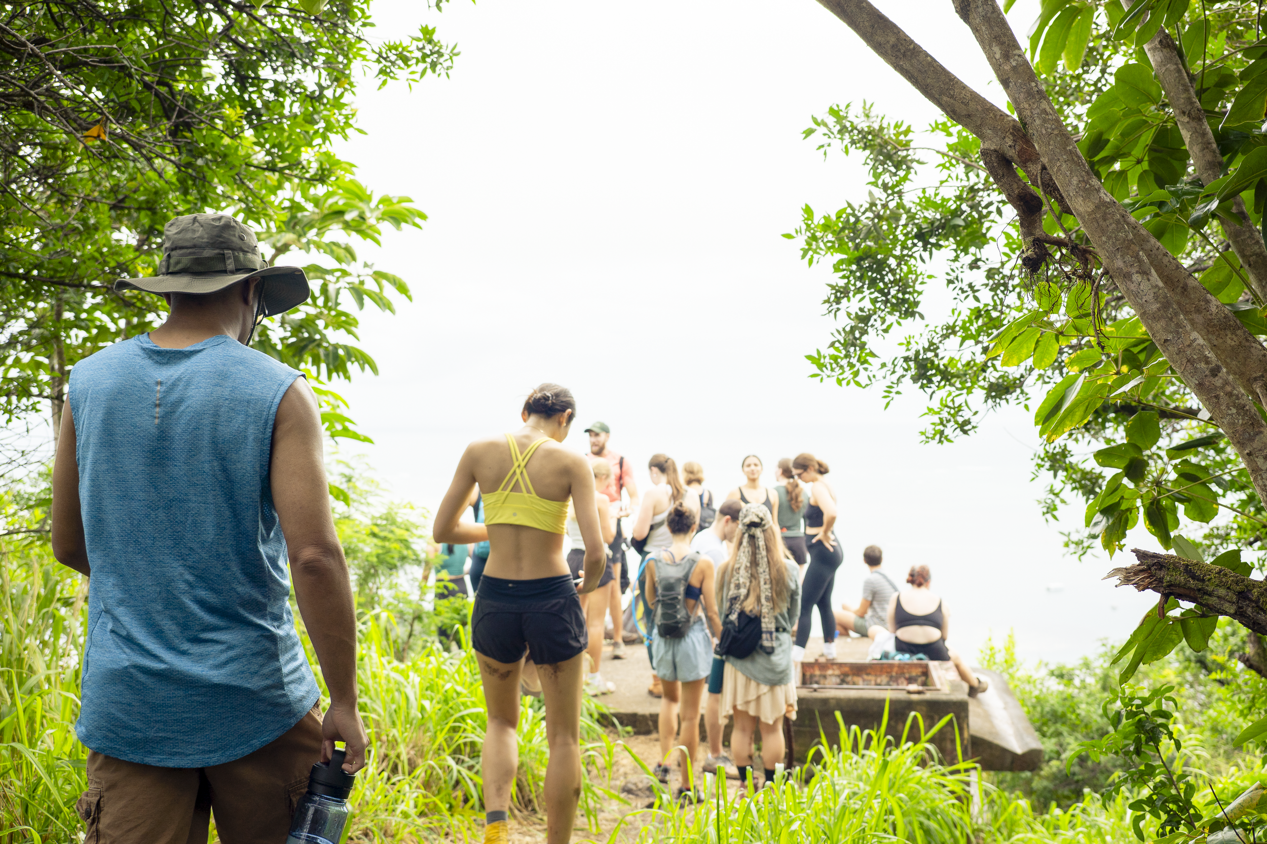 A group of hikers gathered outdoors in a lush, green, and tropical setting.  The scene includes trees and dense foliage, with some individuals dressed in casual or athletic attire.