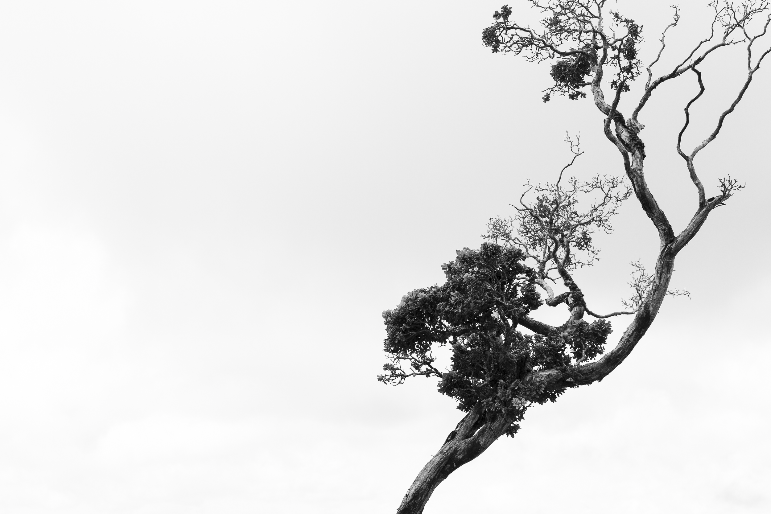 DSC00739.png