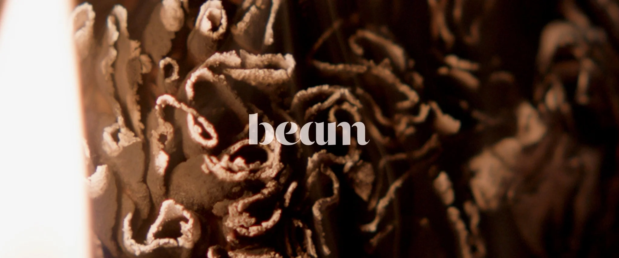 Beam 1 - 2.39_5.mp4.00_00_00_03.Still001.jpg