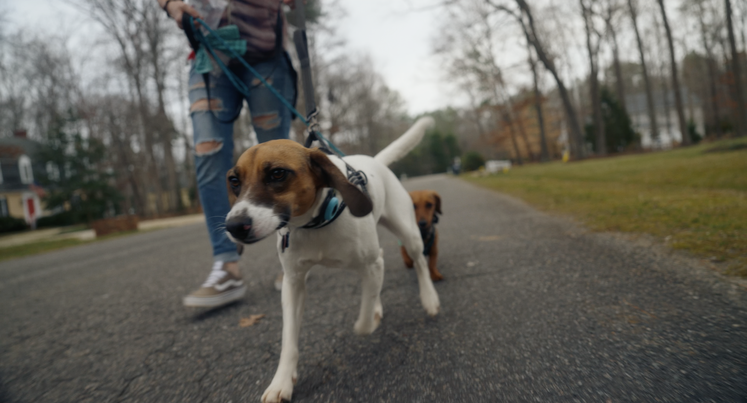 Screenshot 2025-05-24 at 6.54.34 AM.png