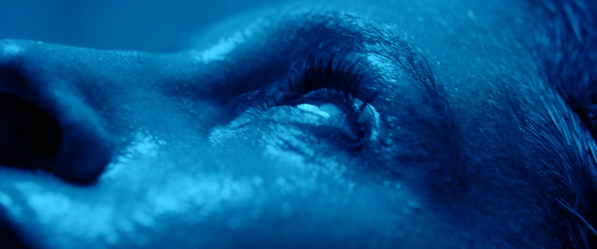 Beam 2 - 2.39_4.mp4.00_00_05_14.Still004.jpg