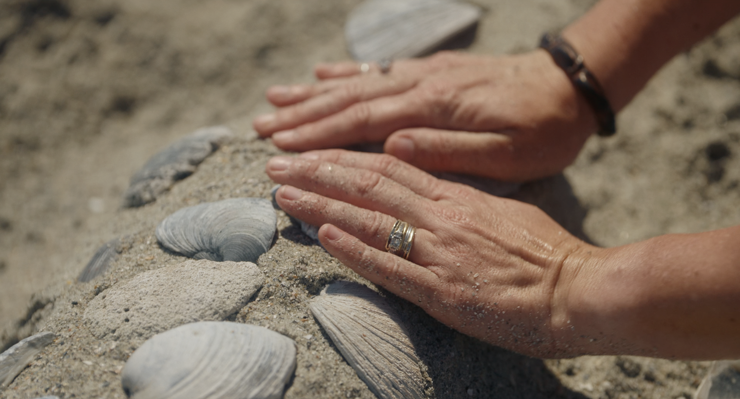 Screenshot 2025-05-24 at 8.08.50 AM.png