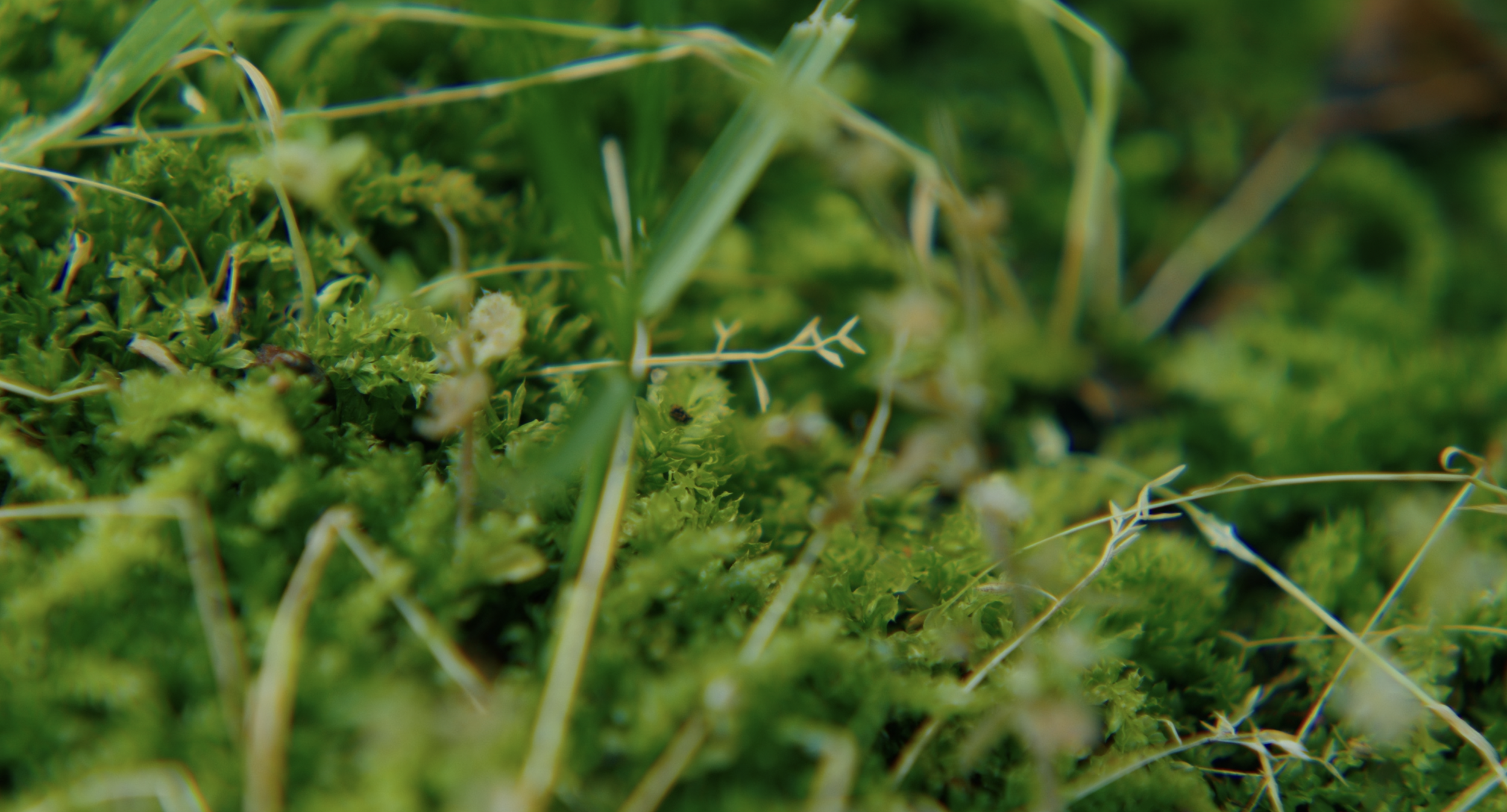 Screenshot 2025-05-24 at 7.29.51 AM.png