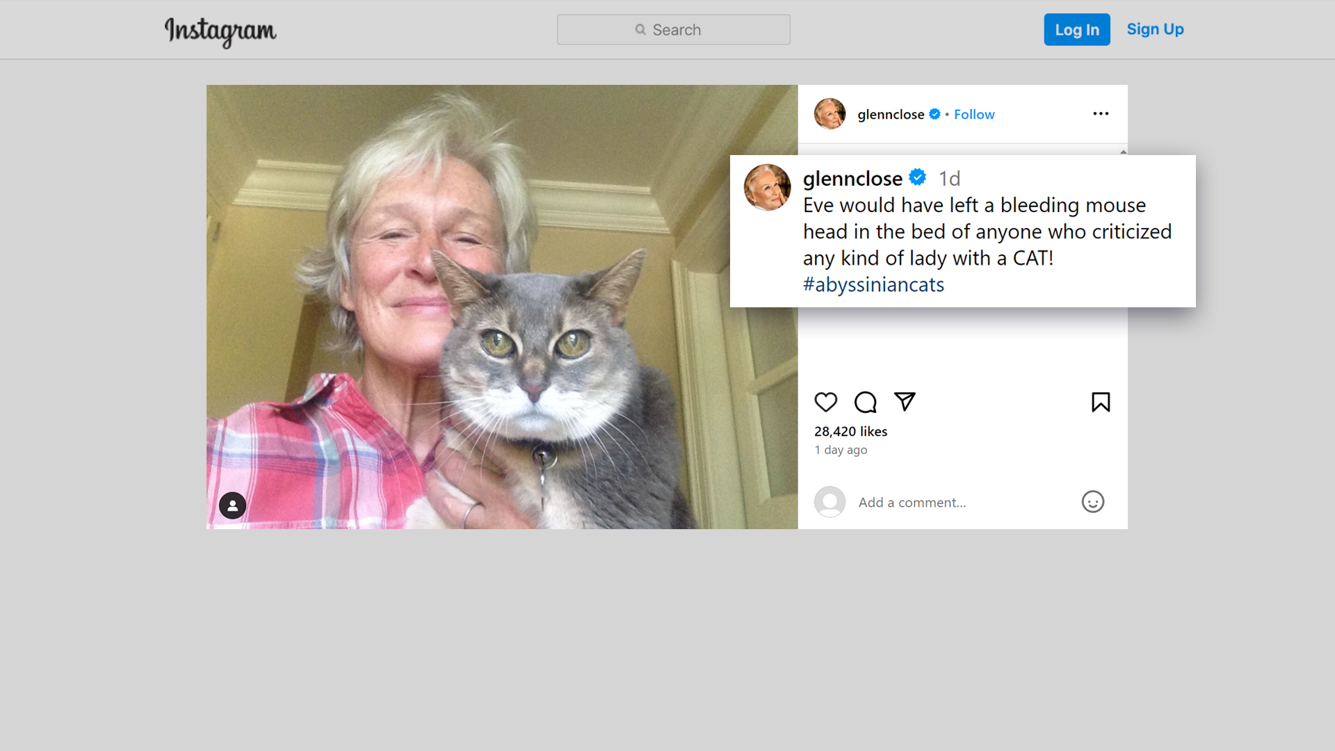 EB Glenn Close instagram FS.png