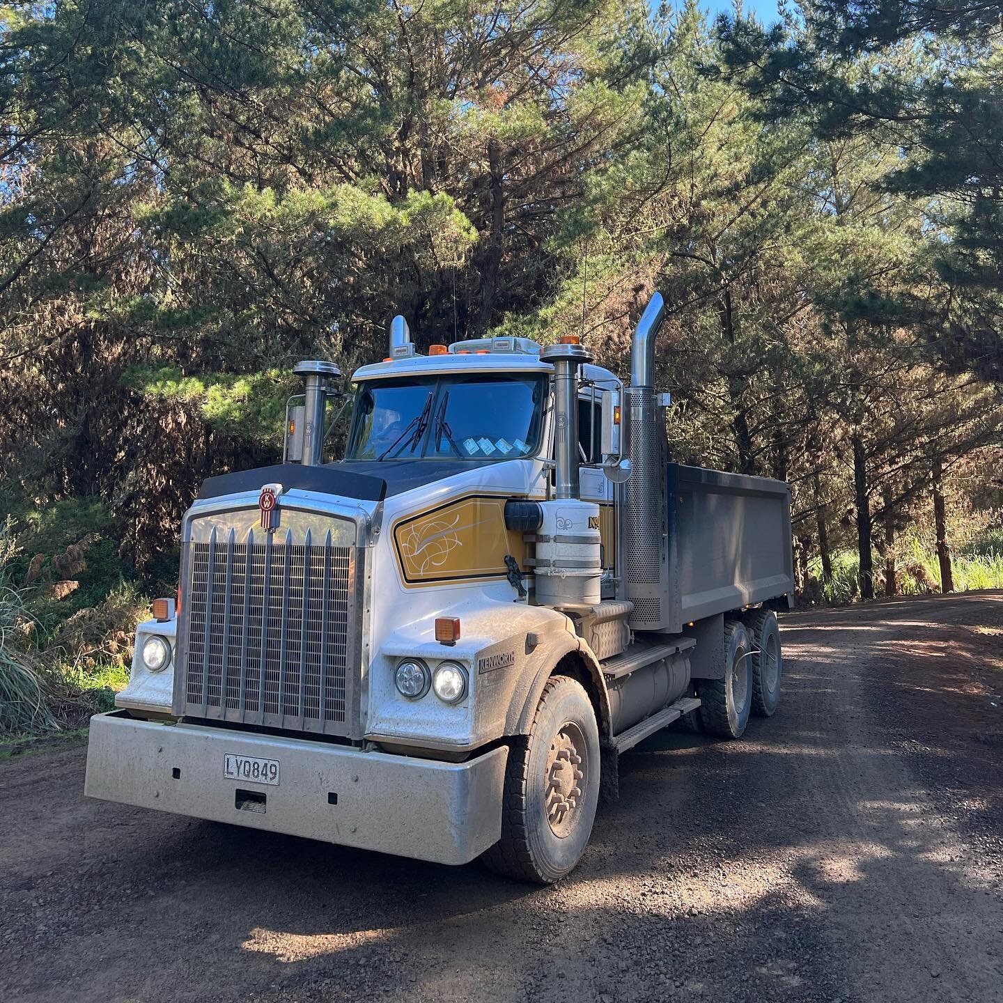 **Truck Driver Position Available**
 

We are a Waikato based Forestry Roading Company and seeking an experienced enthusiastic Truck Driver to join our growing team. This role will be responsible for Carting and Spreading metal and Transporting. This