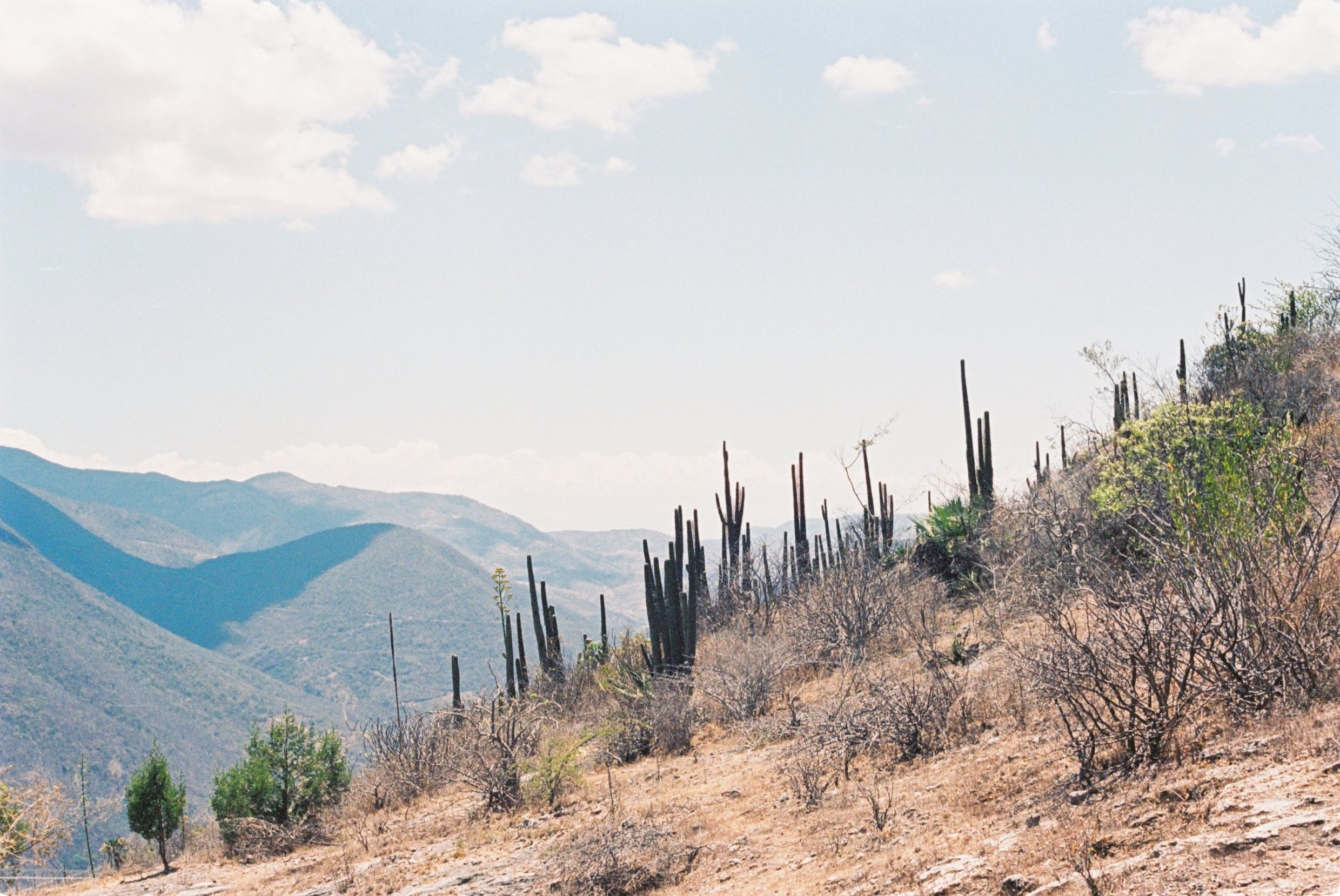 Oaxaca. Mexico, 2022.