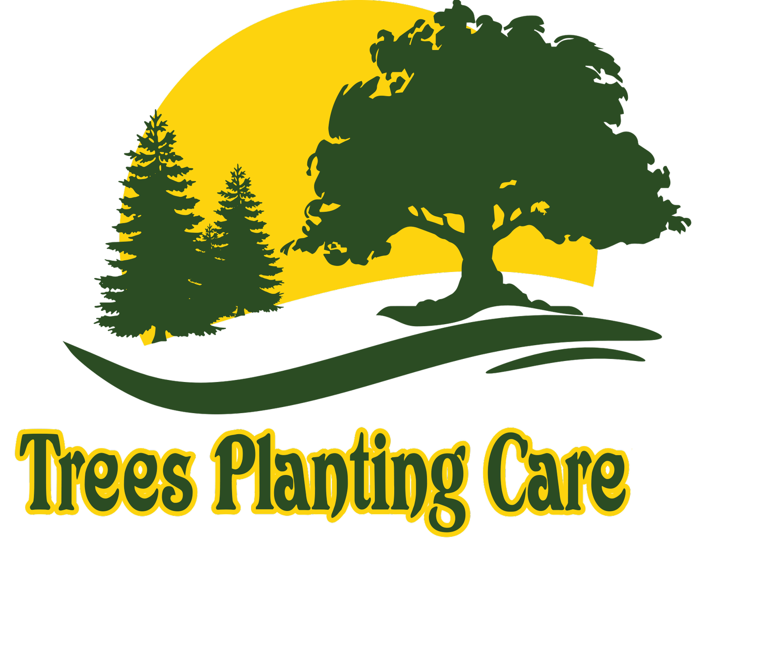 Trees Planting Care