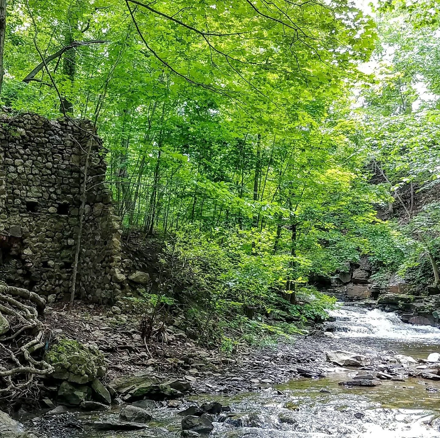 seneca_lake_gorge_stream.jpeg