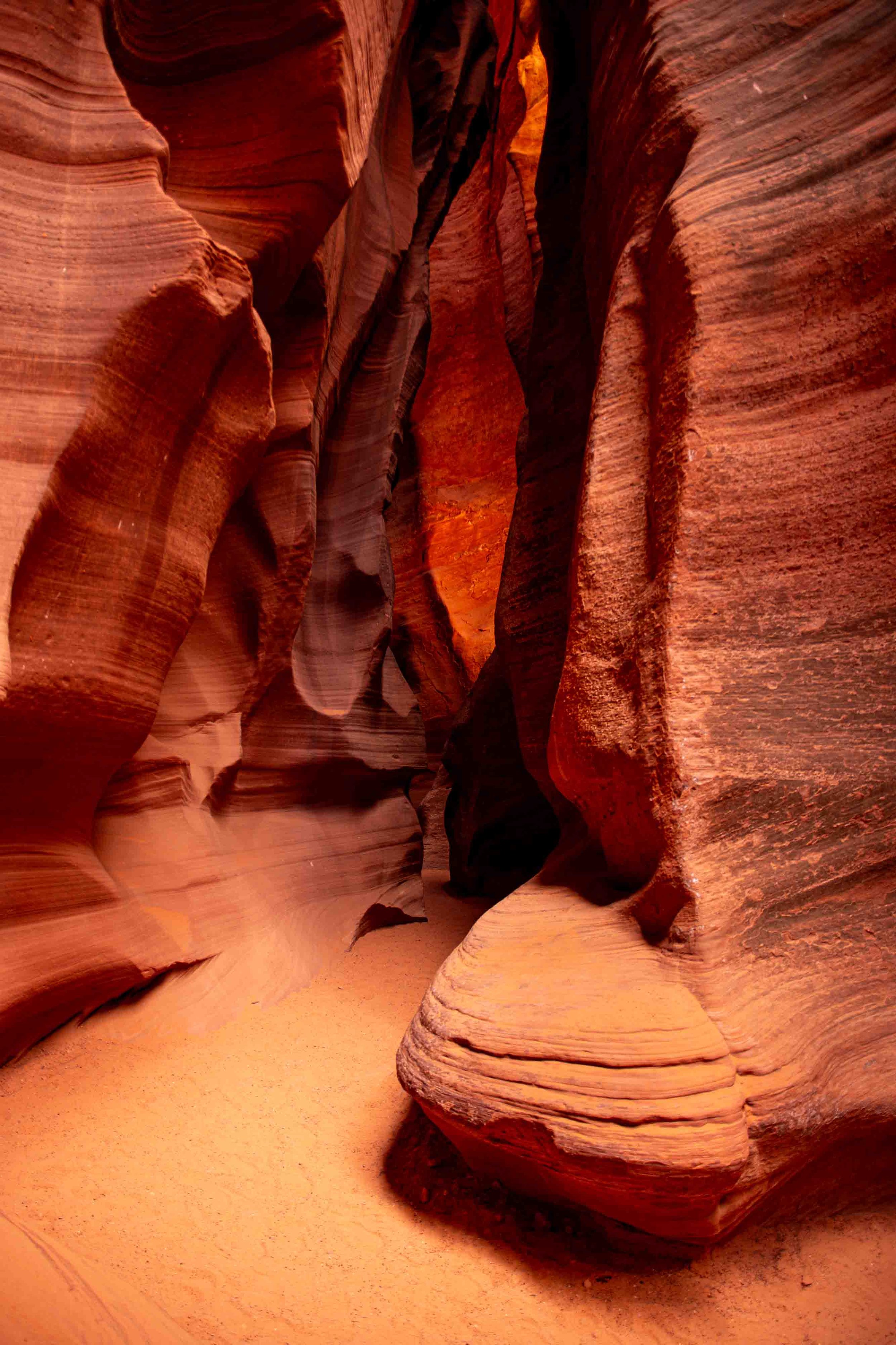 _DSC5100.jpg