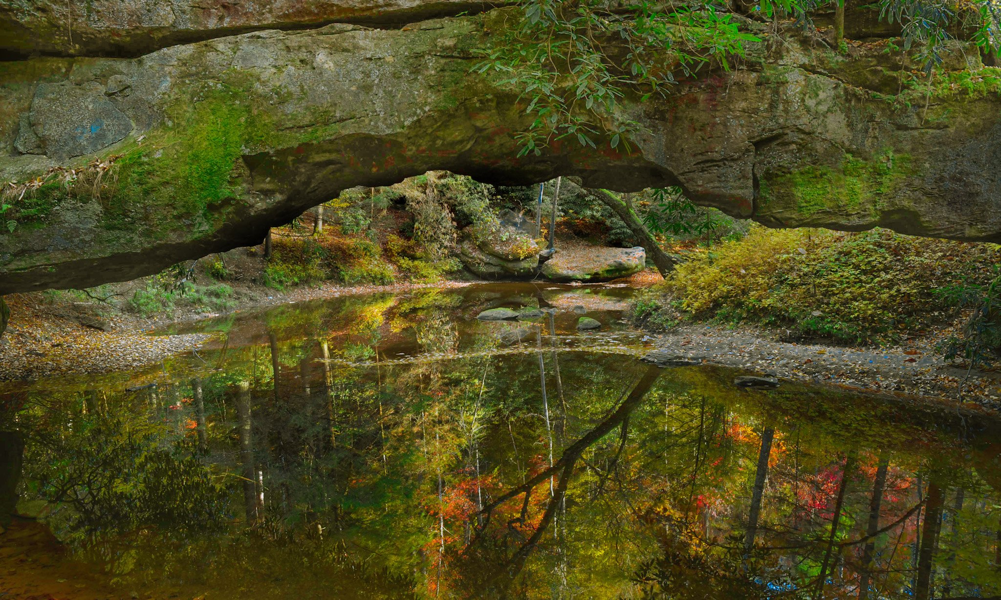 _DSC2332.jpg