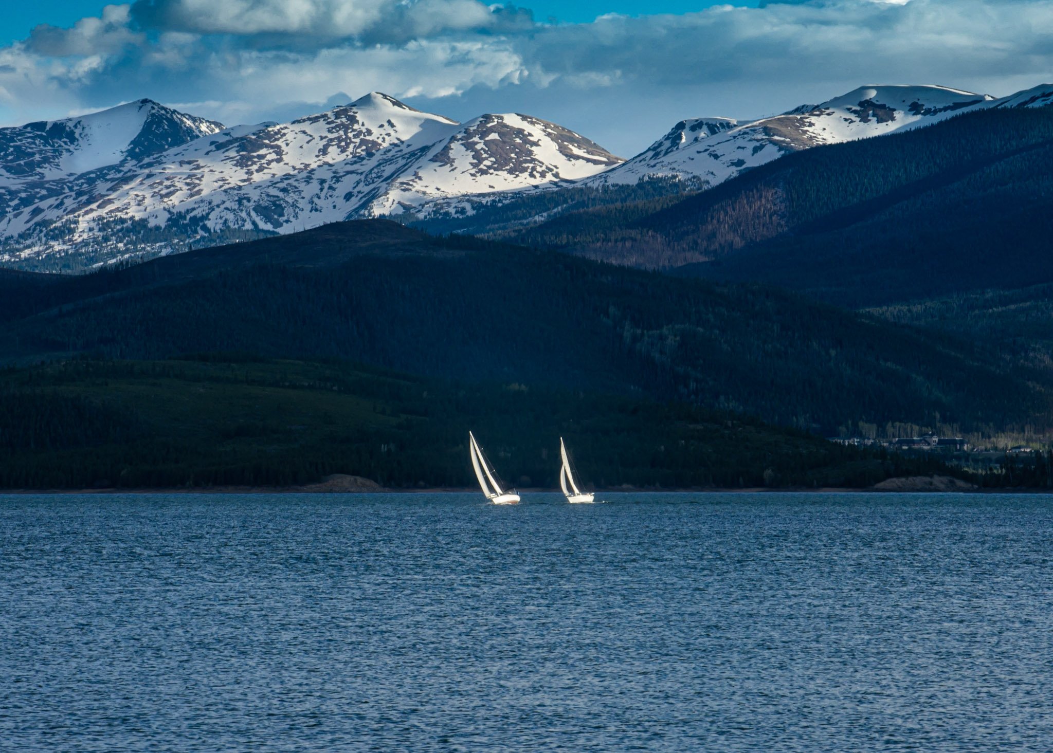 DSC_8139-Enhanced.jpg