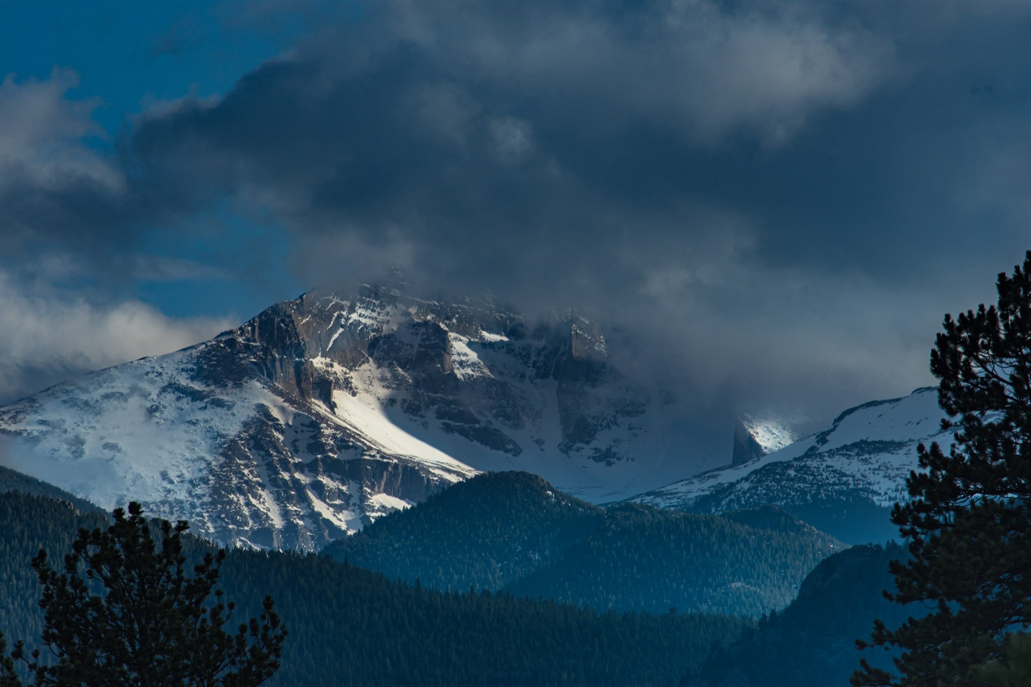 DSC_8087-Enhanced.jpg