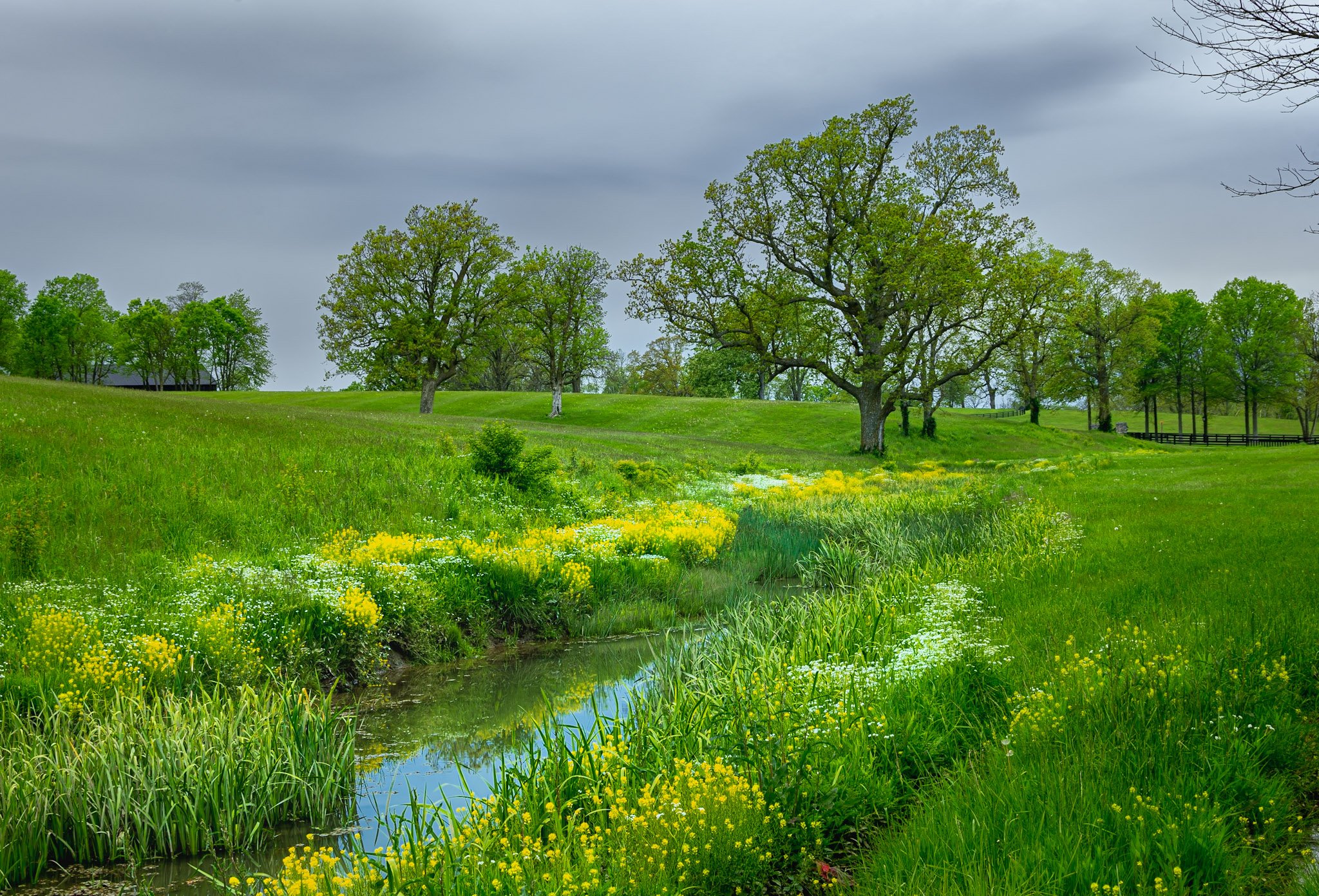 DSC_8010-HDR.jpg