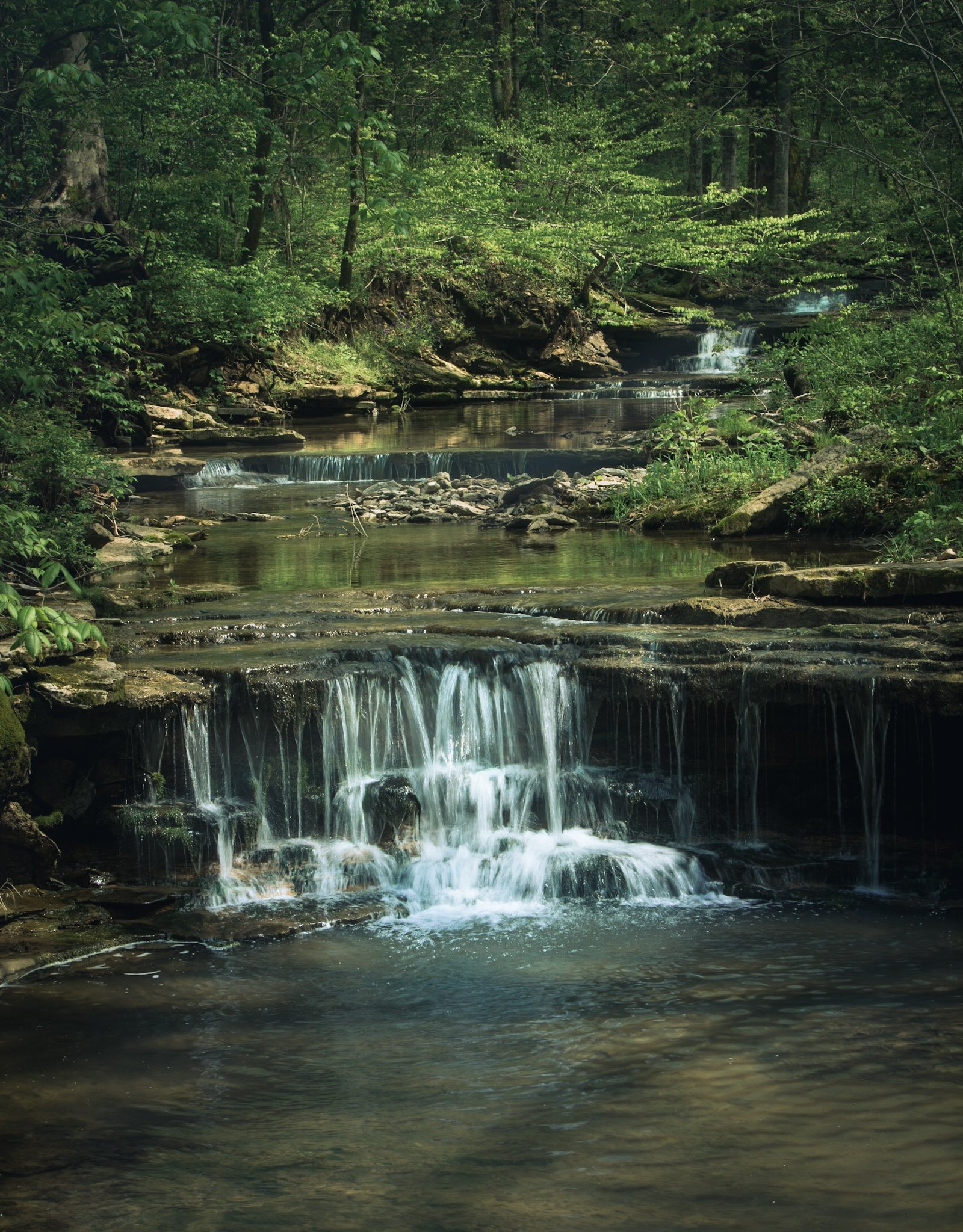 DSC_7905.jpg