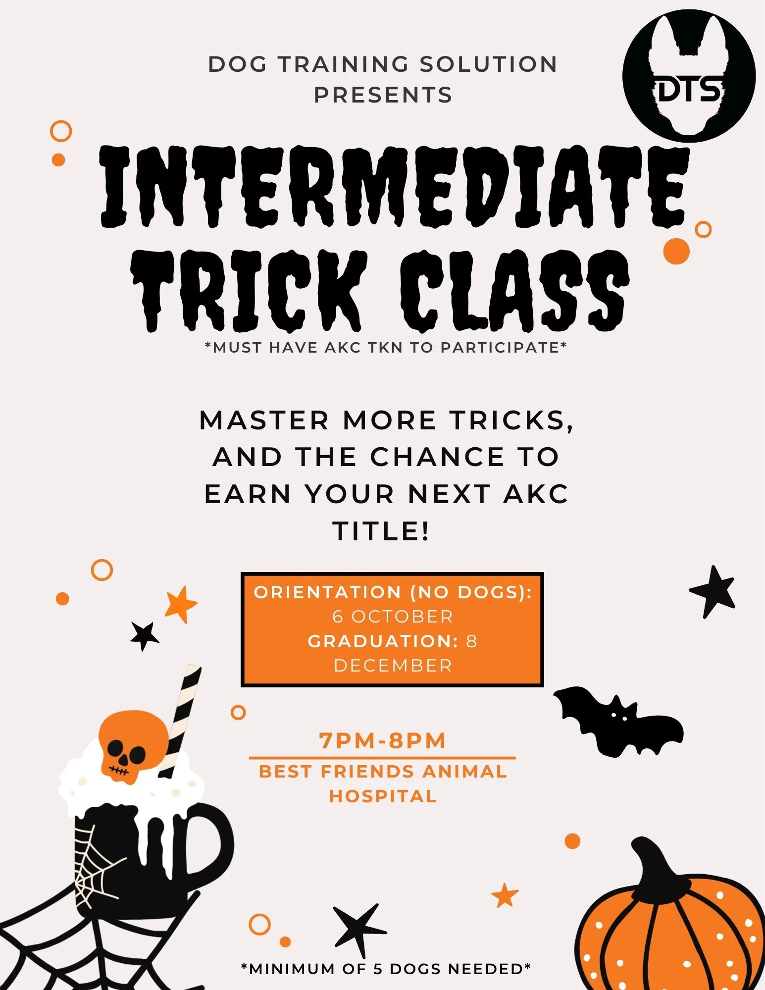 Intermediate Trick Class