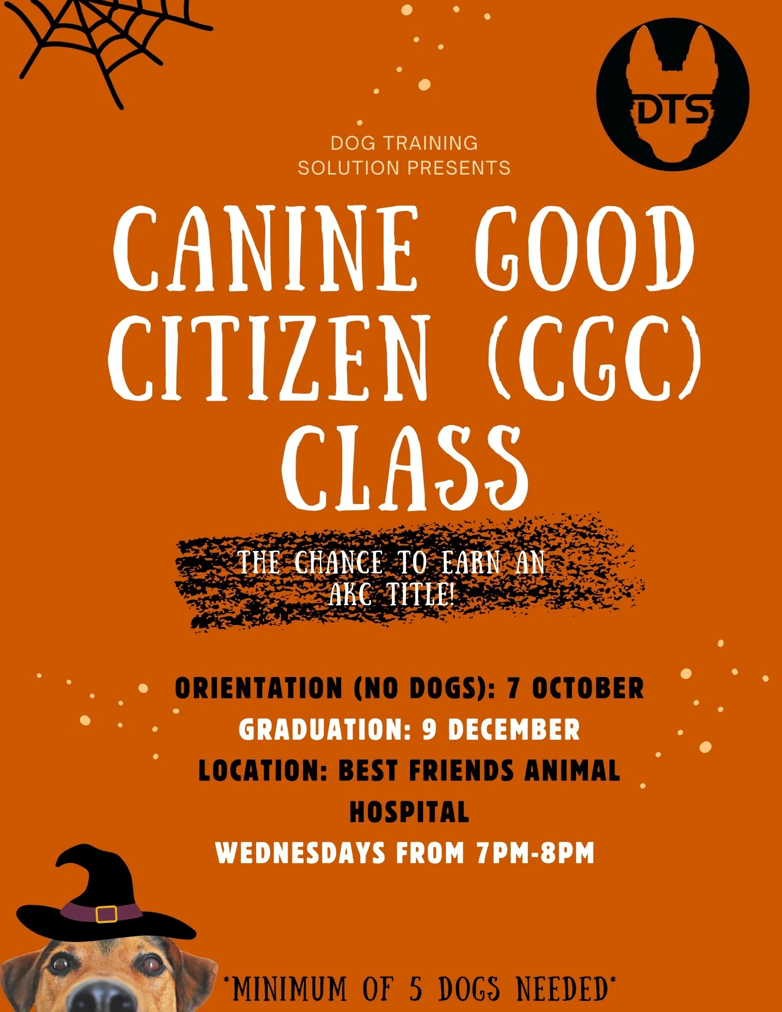 Canine Good Citizen (CGC) Class