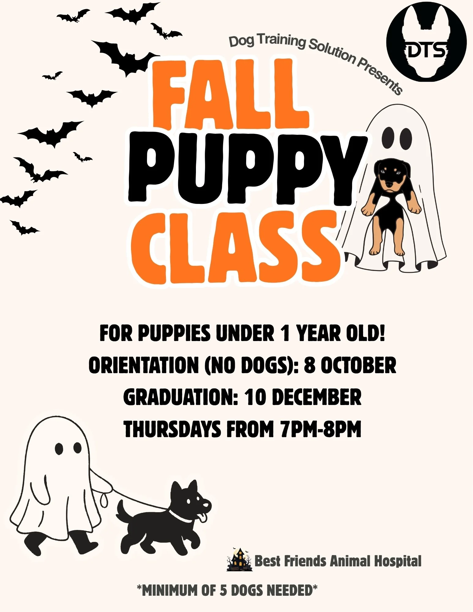 Puppy Development