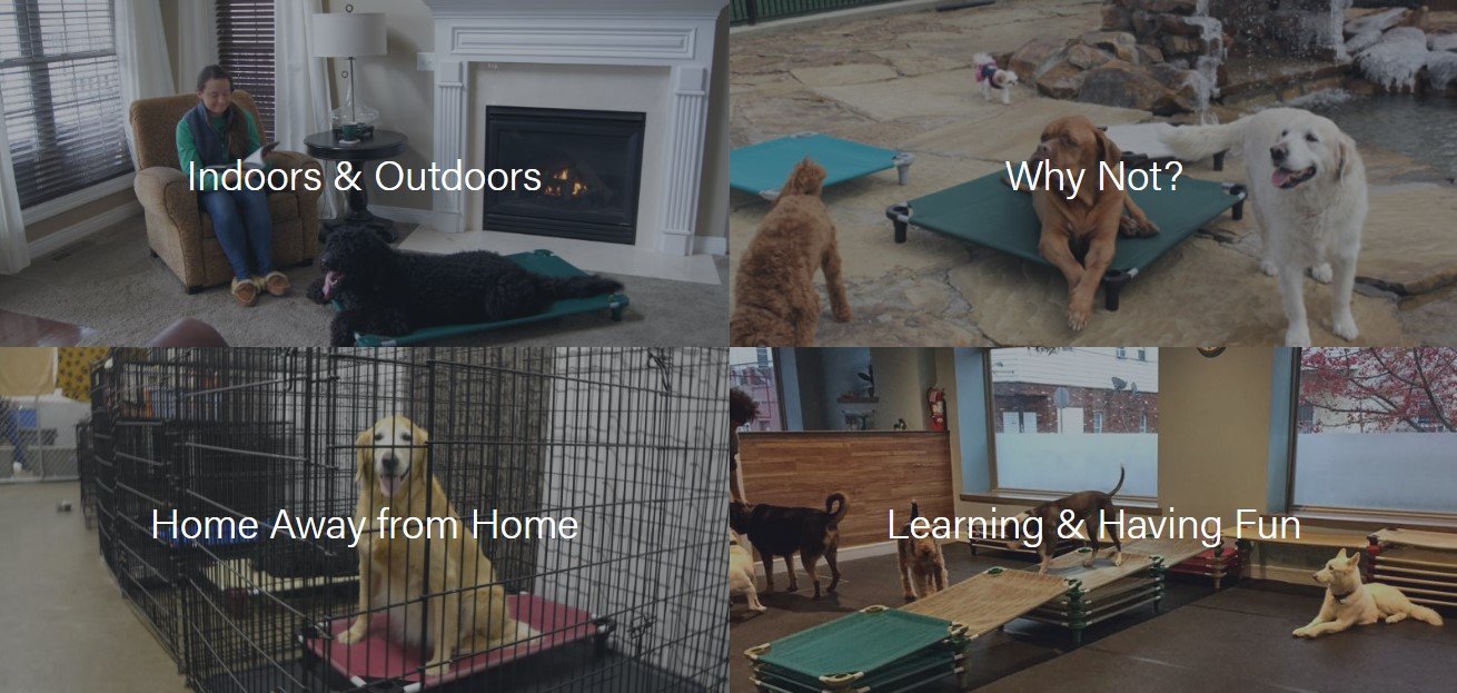 Collage of four photos showing dogs in indoor and outdoor settings: a person with dogs indoors by a fireplace, dogs outdoors on a patio, a dog in a crate at home, and dogs in a training or playroom.