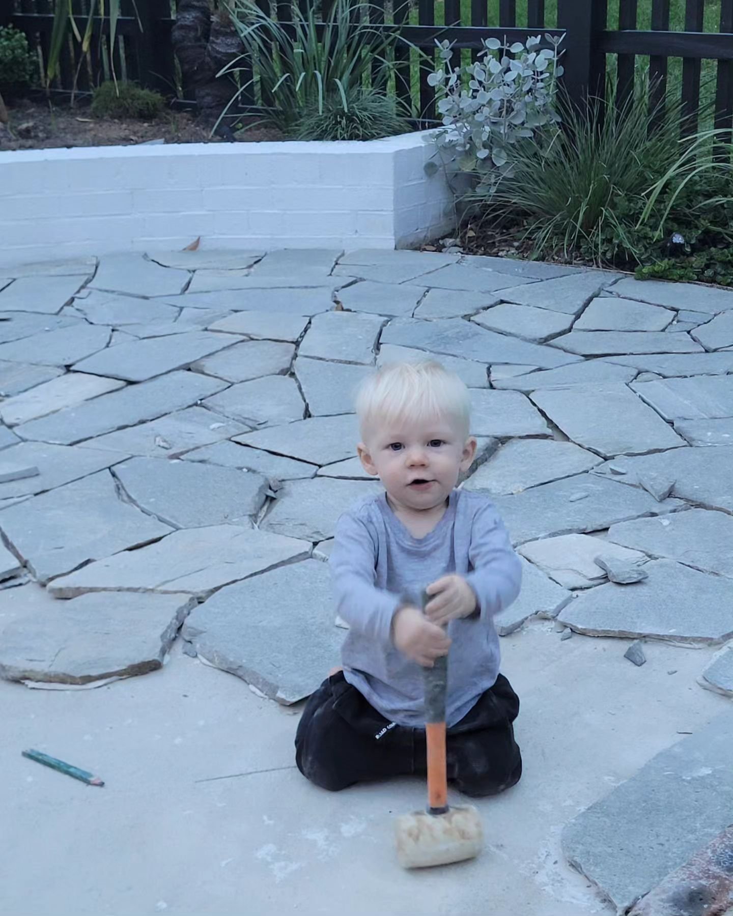 The new apprentice has smashed it out today. Just wait till he can walk ⚒️🪨

#stonework #crazypaving #stonemason #landscapedesign #frontyard #garden