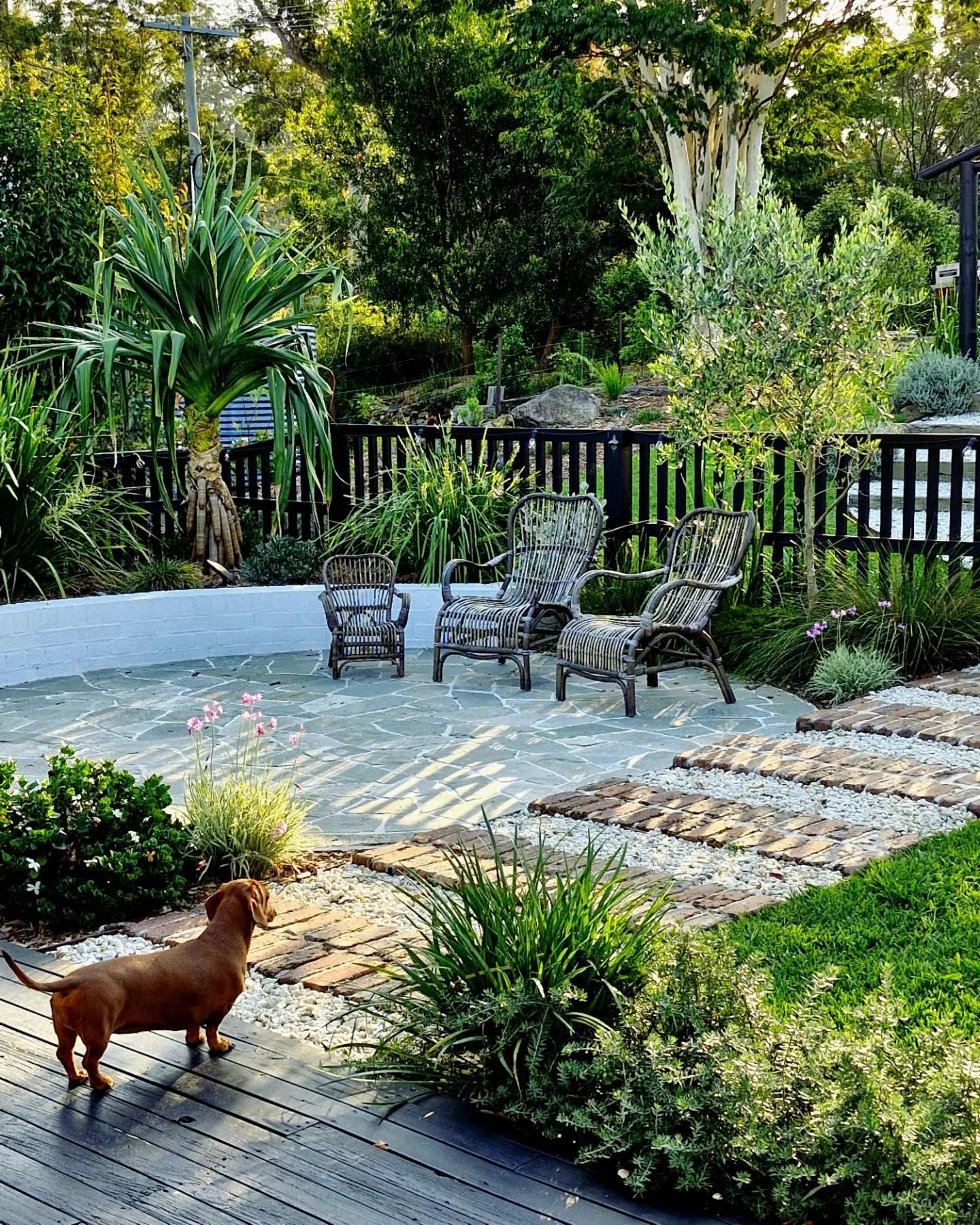 Home sweet Home 🏡 
#crazypaving #stonework #stonemasonry #cottage #bricksteppers #bricknetwork #masonry #garden #landscapedesign #landscaping #plants #Sausagedog