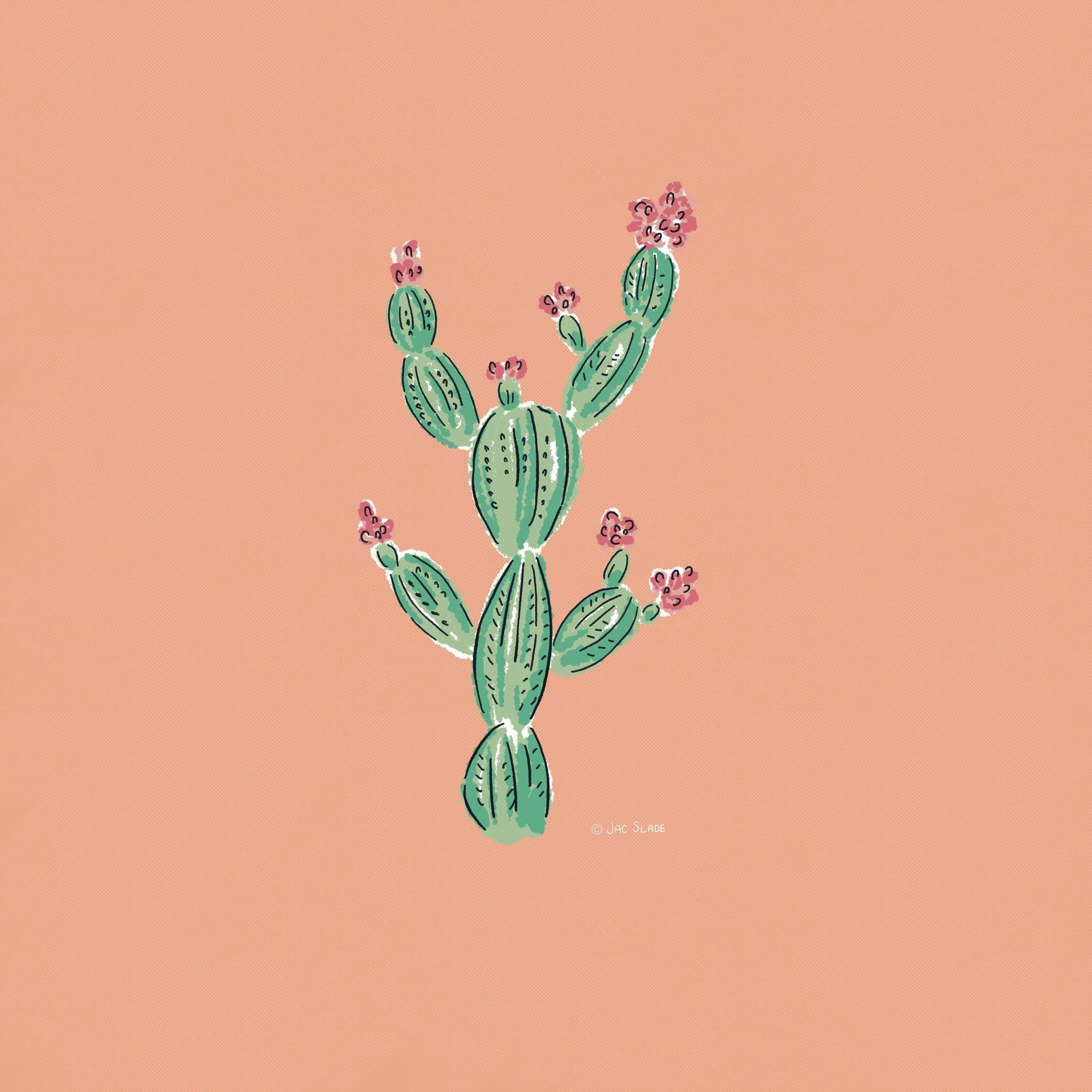 Desert Cactus...
🌵🌸🌵🌸
I'm getting my sketchbook ideas out of my art journal and recreating them on my iPad in Procreate. 
What do you think, do you like seeing the illustrations that make up my pattern designs?

#jacslade #artlicensing #SurfaceDe