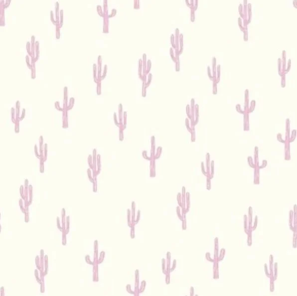 Mini Pink Cactus