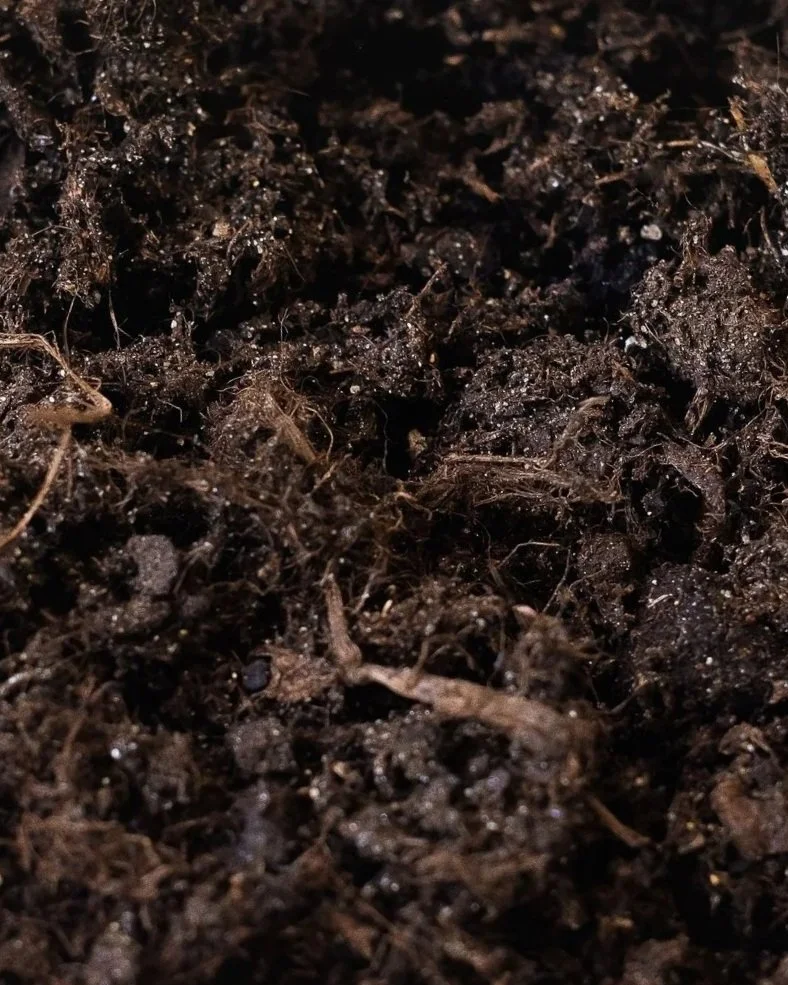 Soil.jpg
