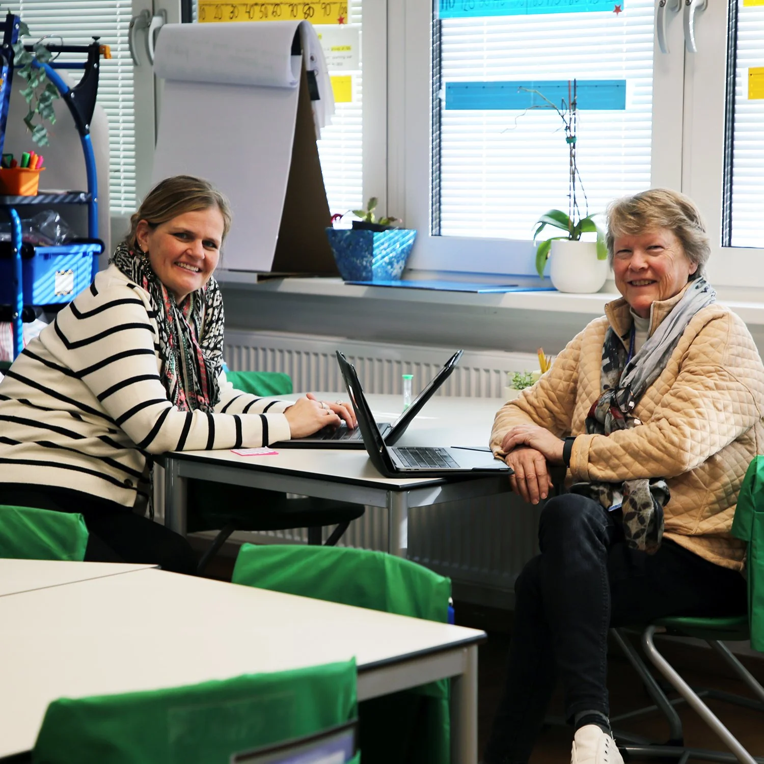 Professional Development and Collaboration Afternoon