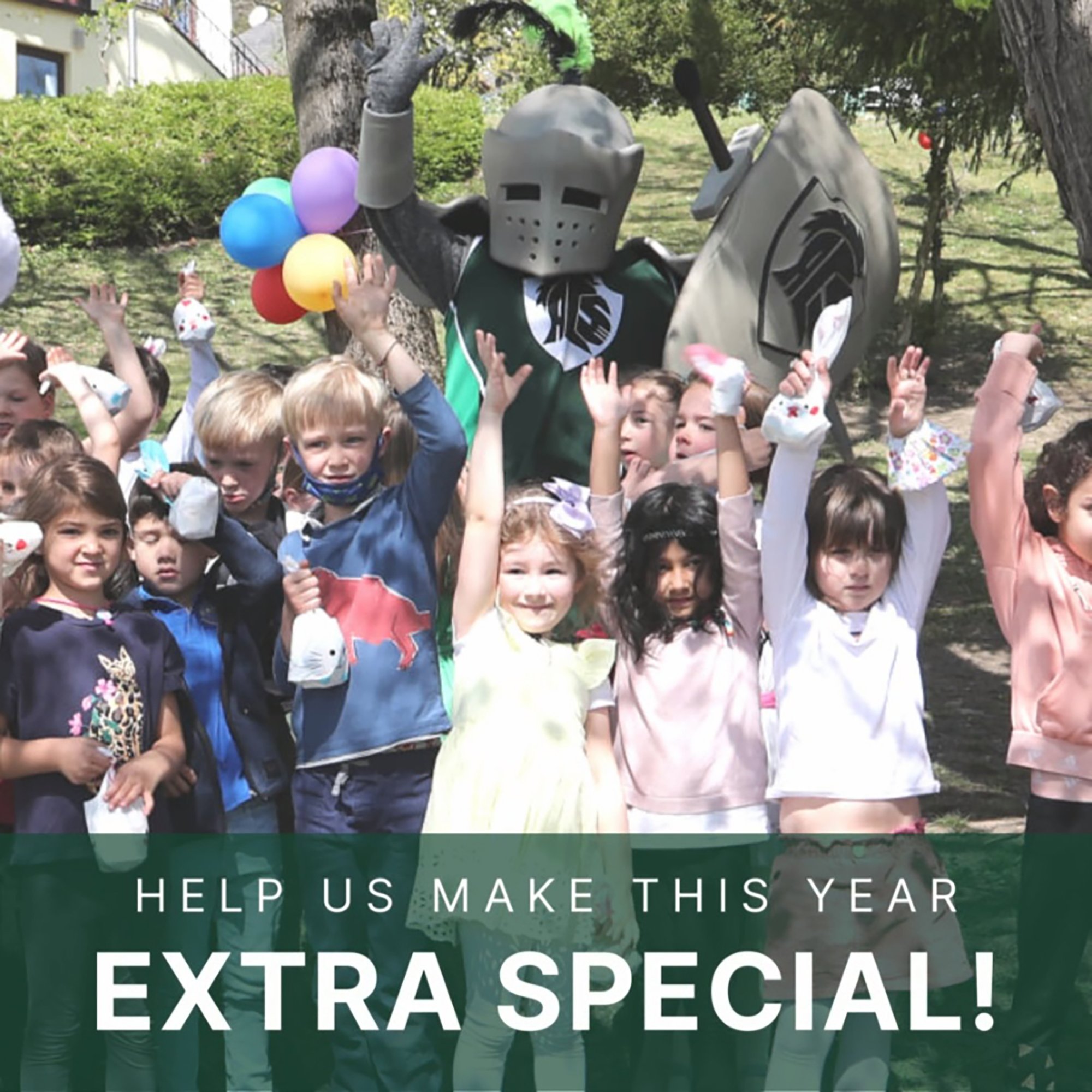 The AIS Vienna Annual Fund