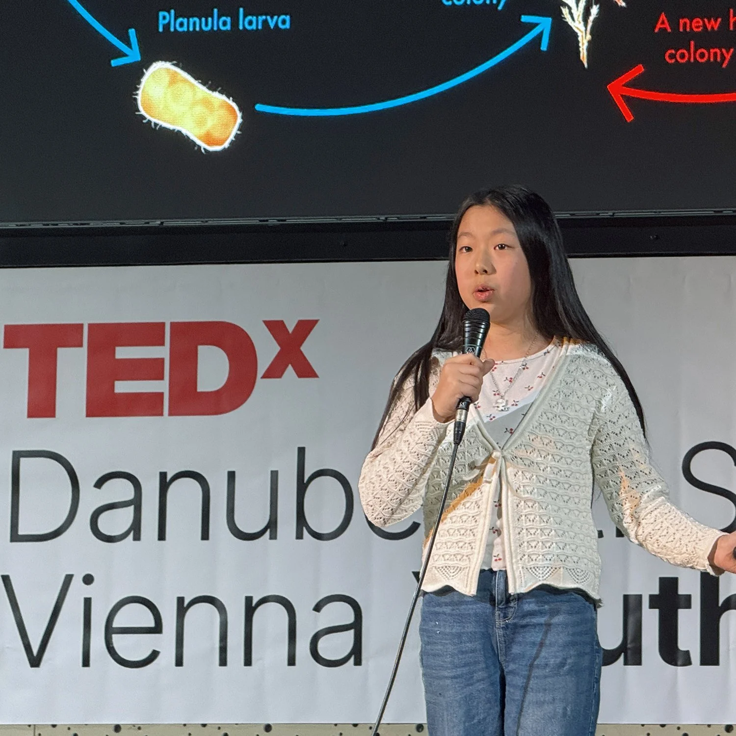 Grade 6 Student Presents at TEDx Conference