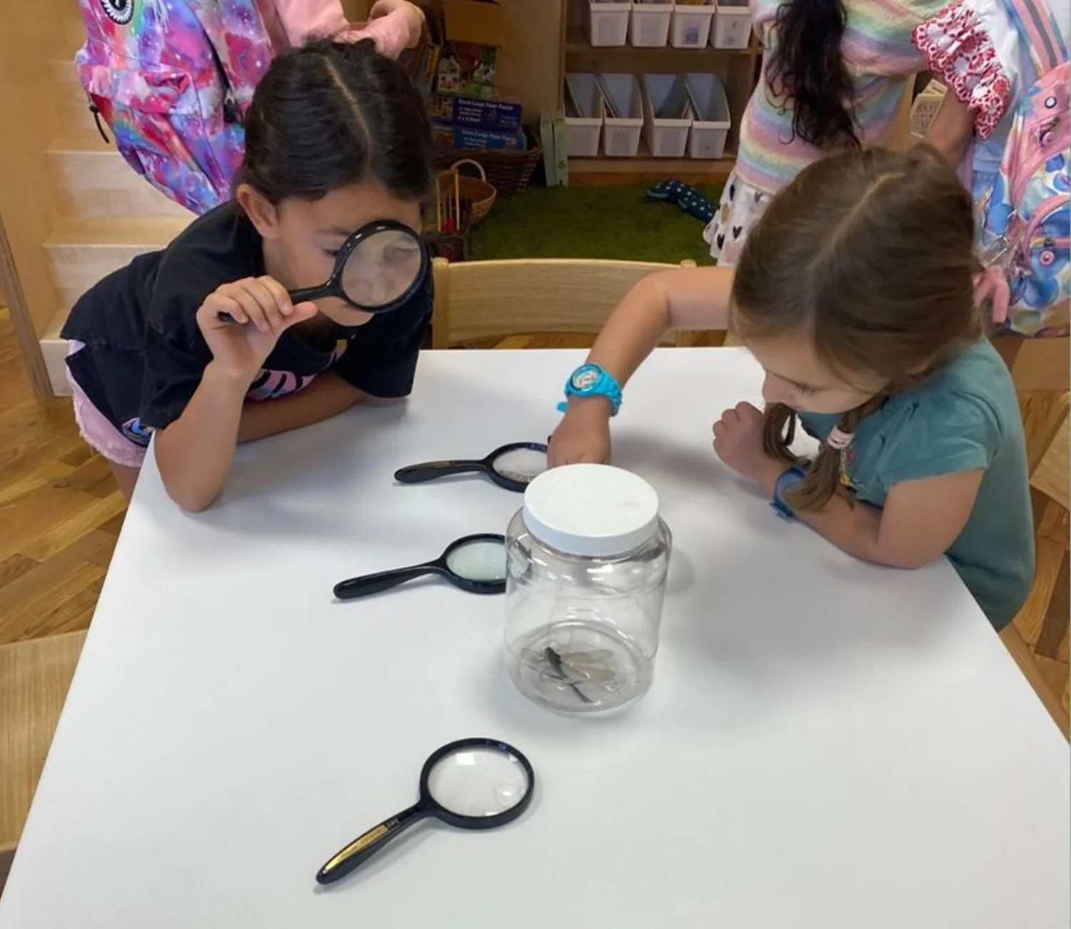 Early Childhood - Curiosity-driven Activities.jpg