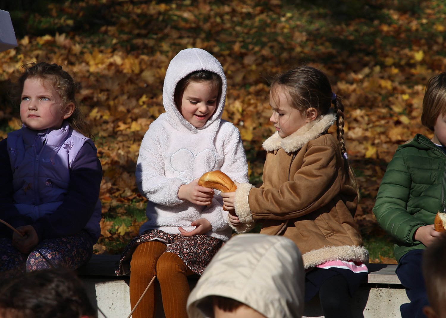 2025.11.06 - EC Lantern Walk - IMG_4919.JPG