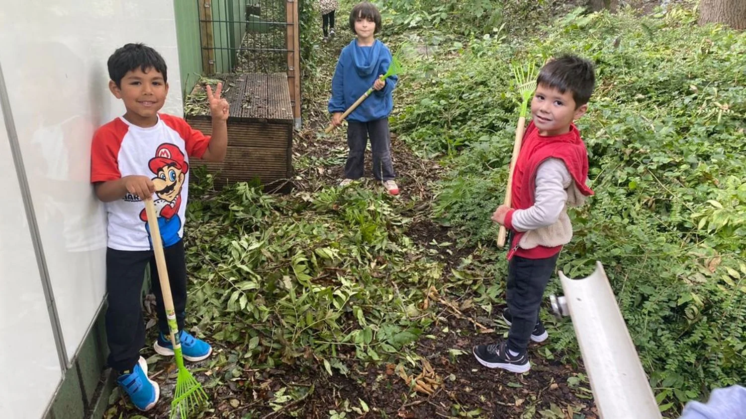 Early Childhood - Holistic Development.jpg