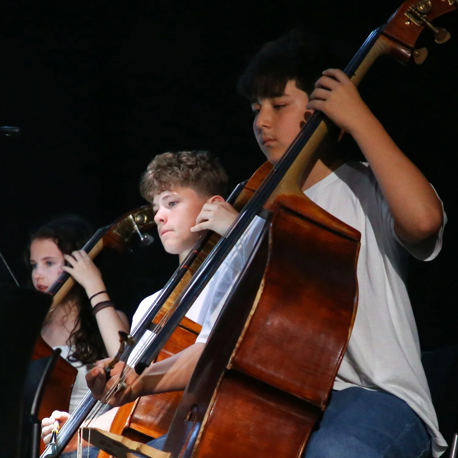 MS &amp; HS Strings Concert