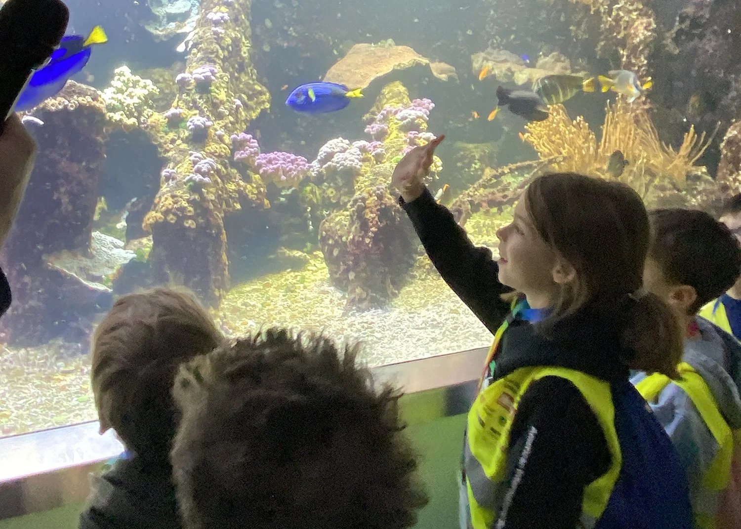 2026.01.23 - ES Haus des Meeres Field Trip - 2026.01.23 10.02.54.873(1).JPG