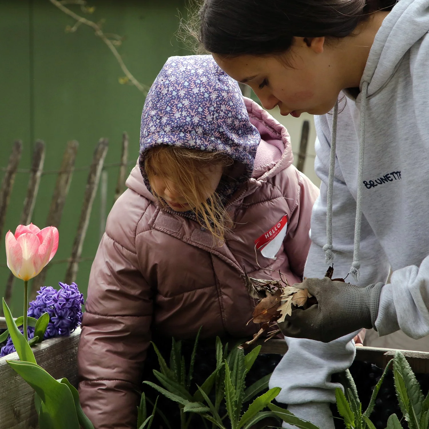 Grade 6 Knights of Service