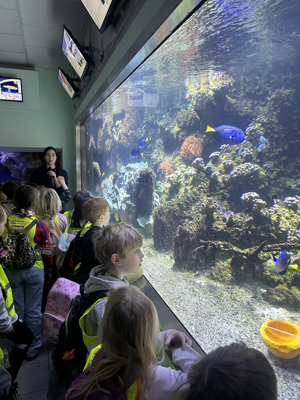 Grade 1 Visits Haus des Meeres — AIS Vienna