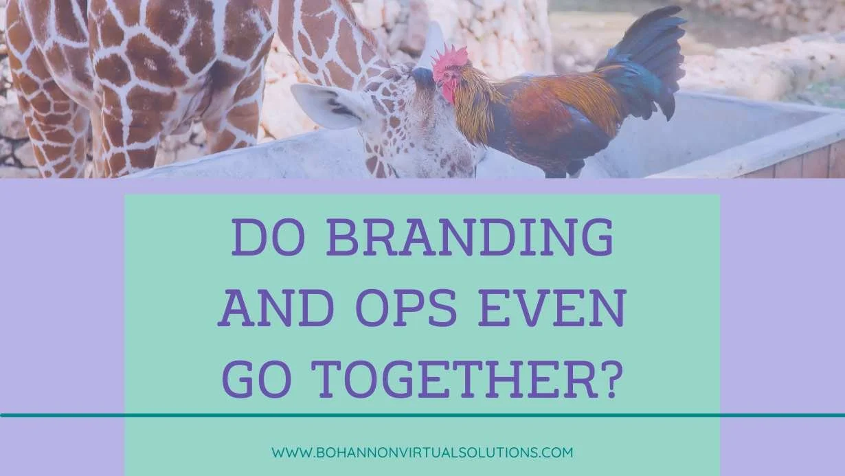How Strategic Branding and Effective Business Systems Work Together in Growing Your Business 