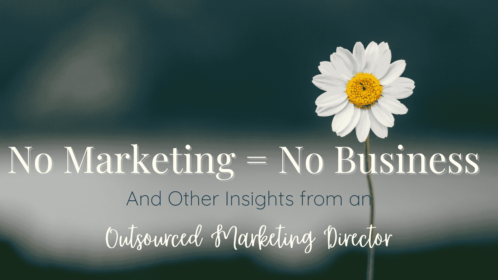 Investing in Your Marketing: Insights from an Outsourced Marketing Director