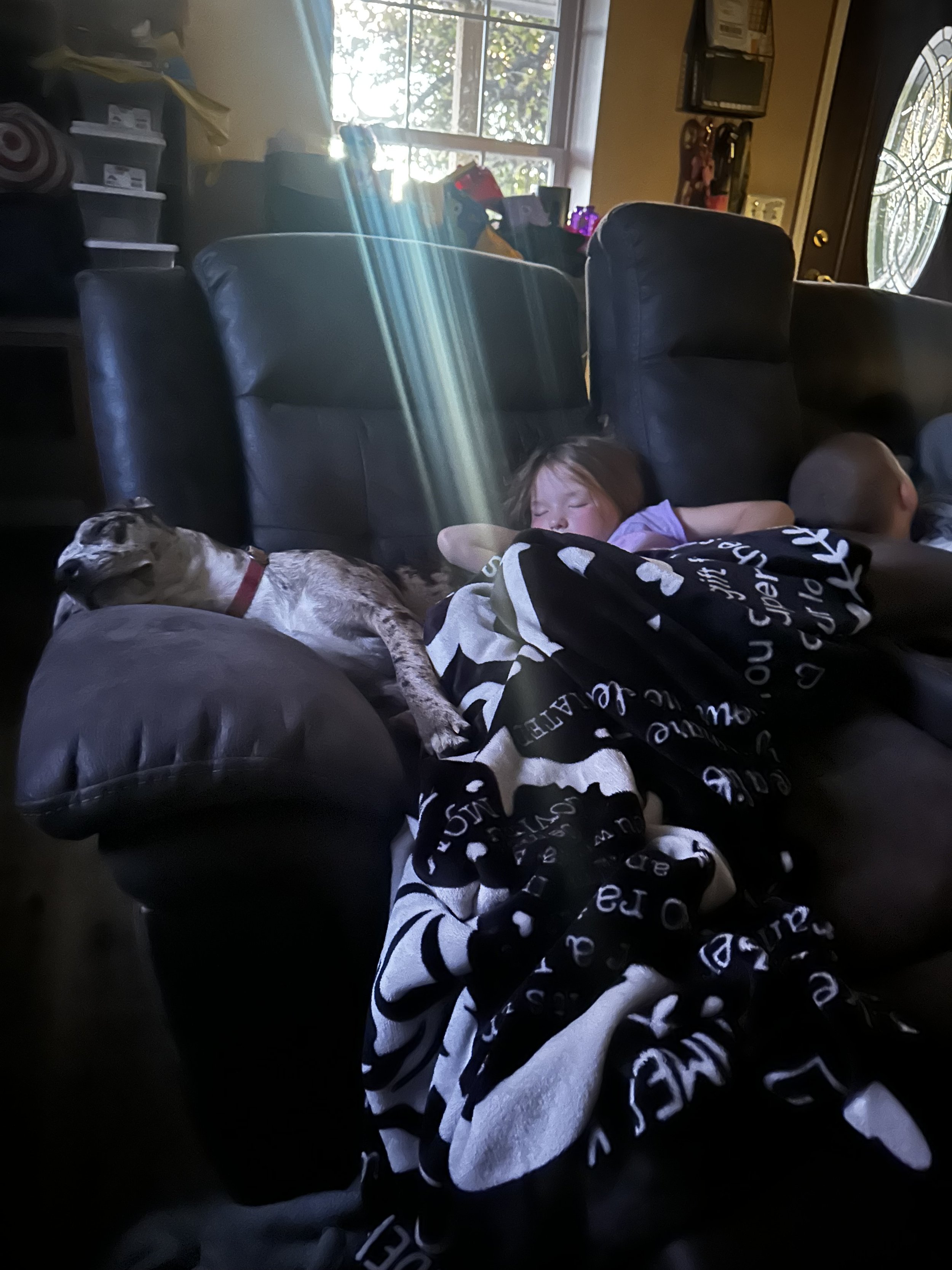 A child and a dog are sleeping on a couch under a black and white blanket. Sunlight is streaming through a nearby window, illuminating the scene.