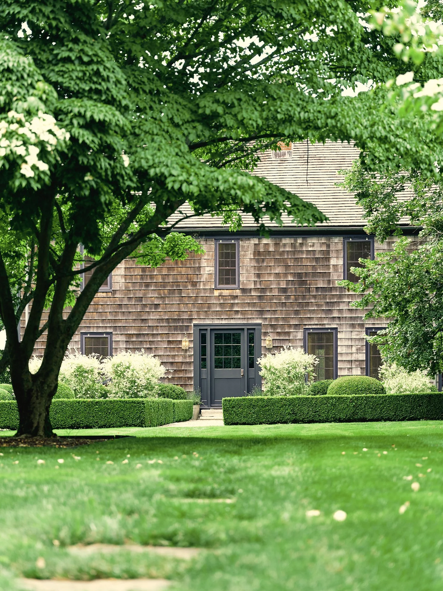 DSCF5175.jpg