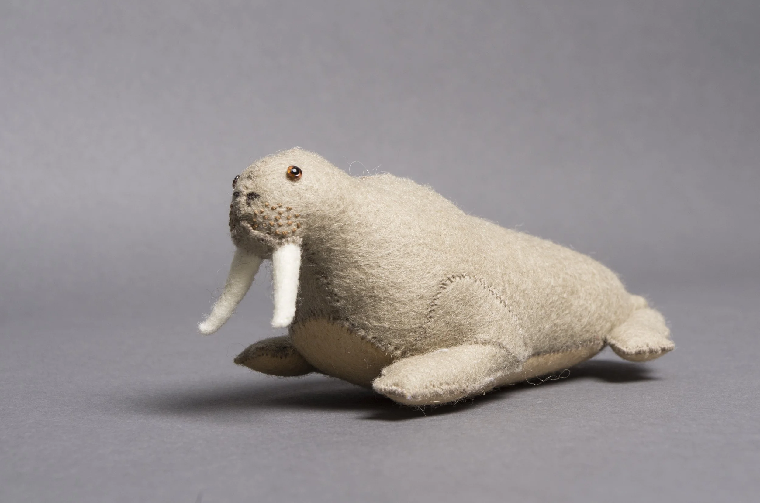 Walrus_2.jpeg