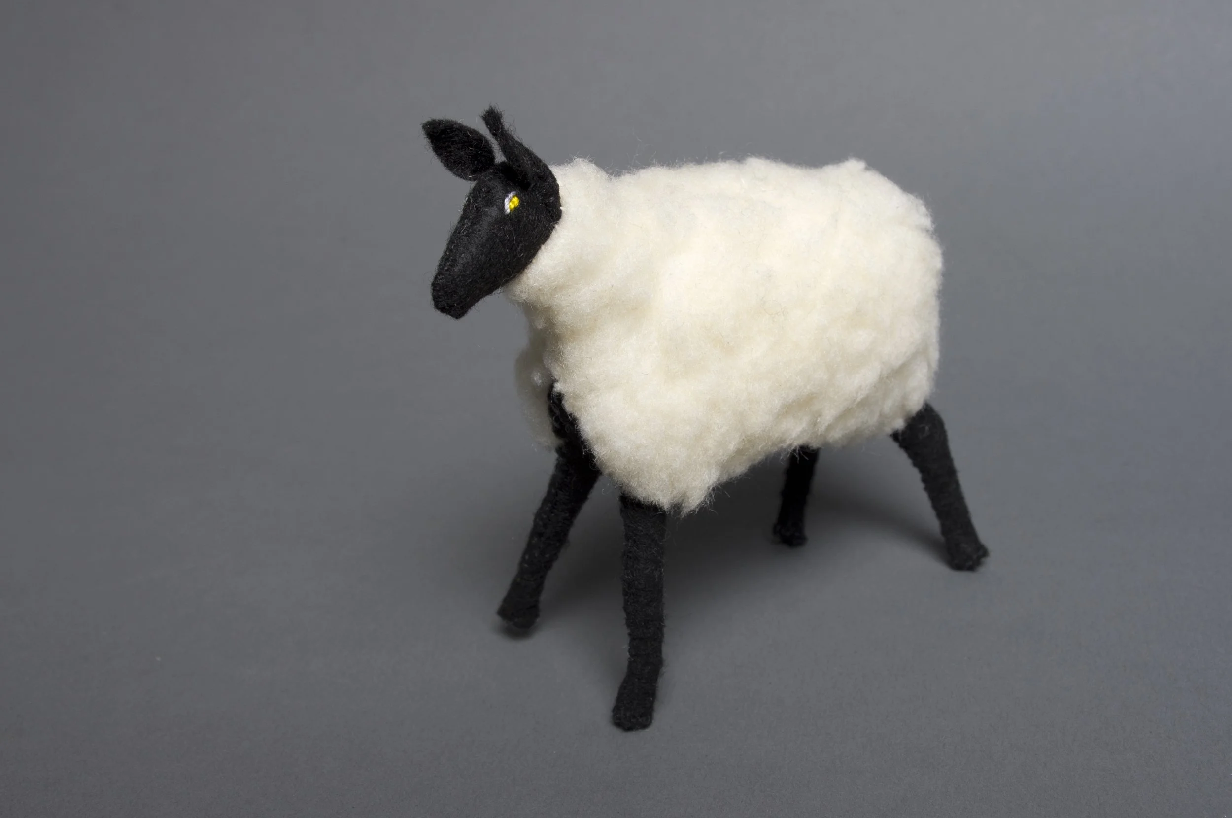 sheep_1.jpeg