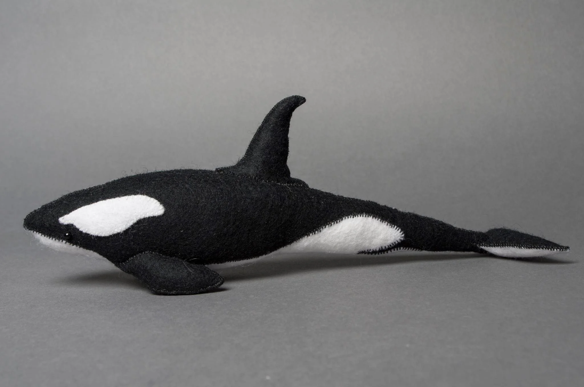 Orca.jpeg