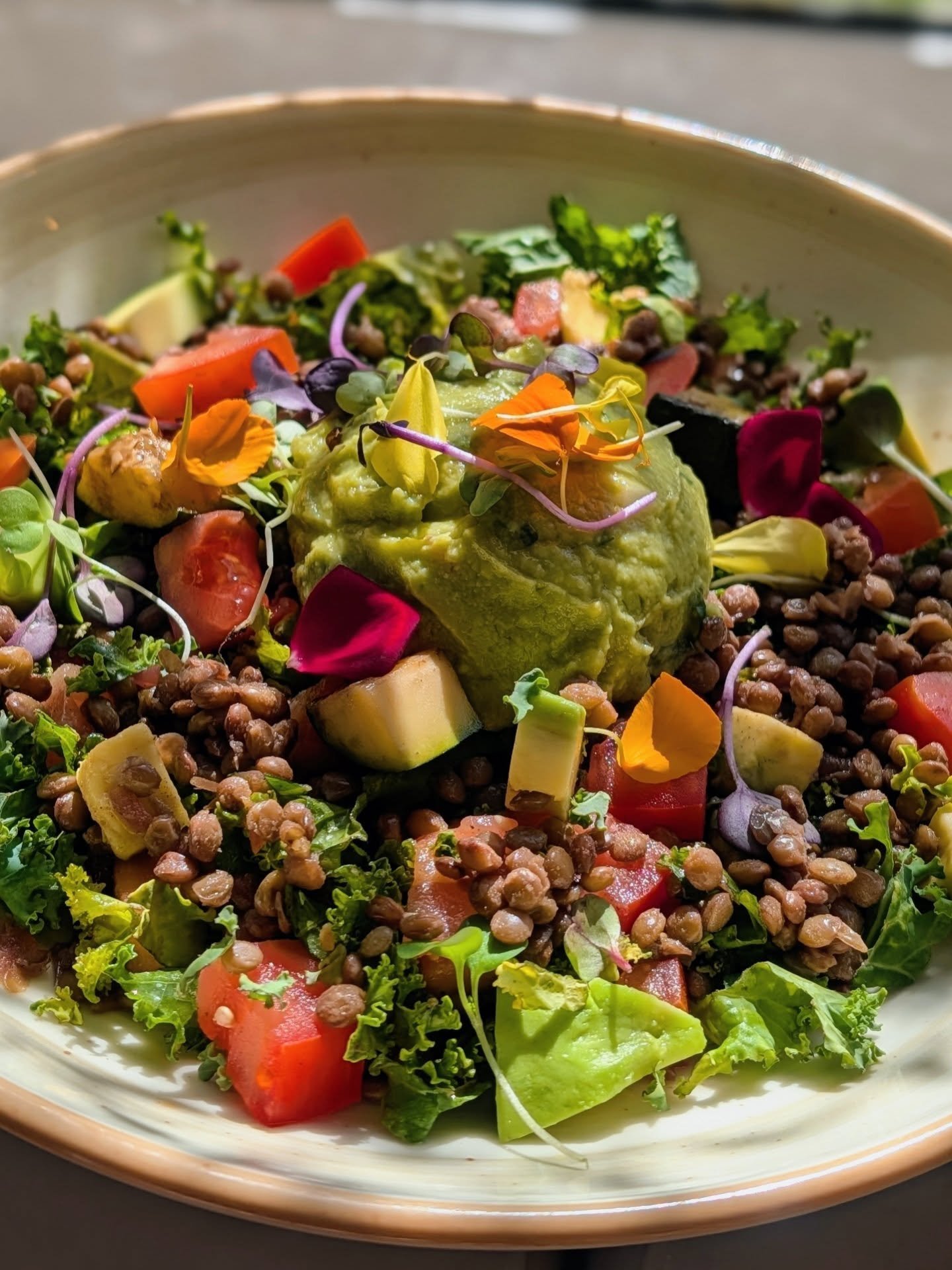 🌿✨ A veces, lo que tu cuerpo necesita est&aacute; en un bowl sencillo, honesto y lleno de vida.
Nuestra Lentejas Aguacate Superfood es exactamente eso:
un plato que nutre, reconforta y equilibra, pensado para cuidarte desde dentro.

Lentejas verdes 