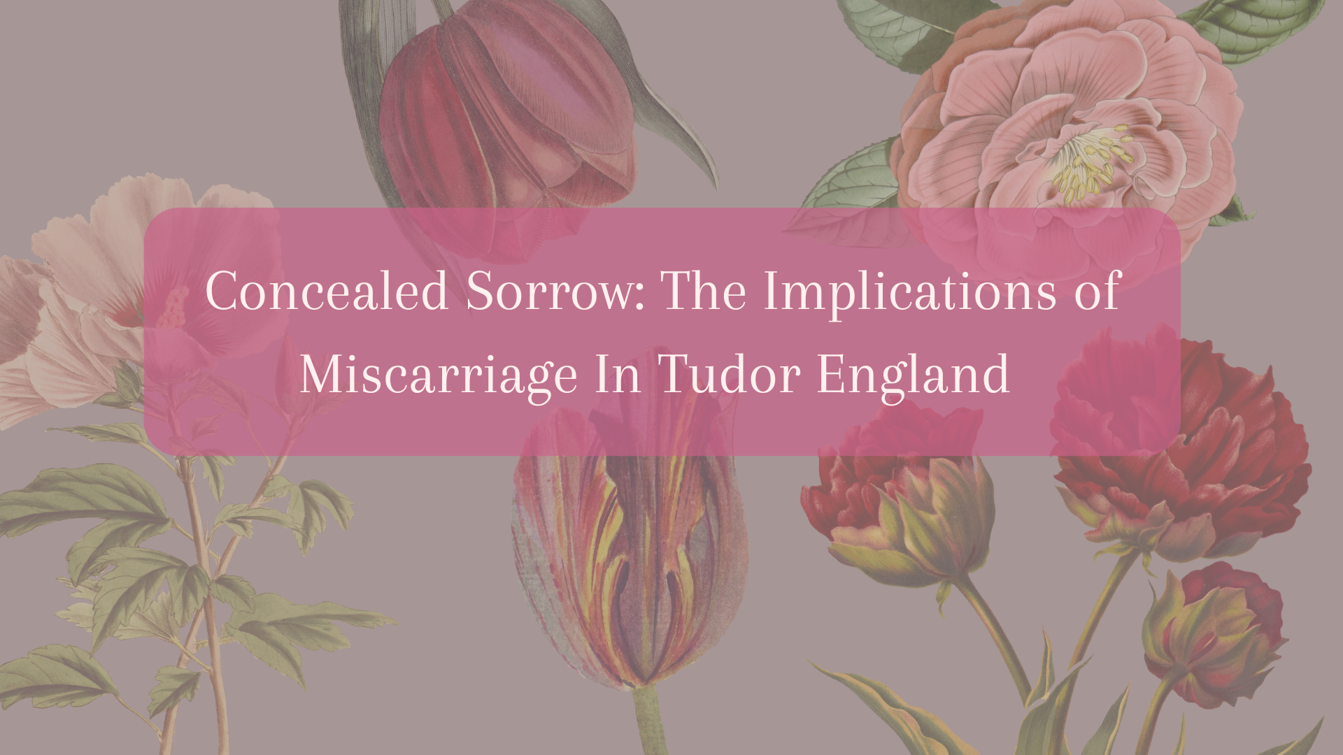 What’s My Dissertation?