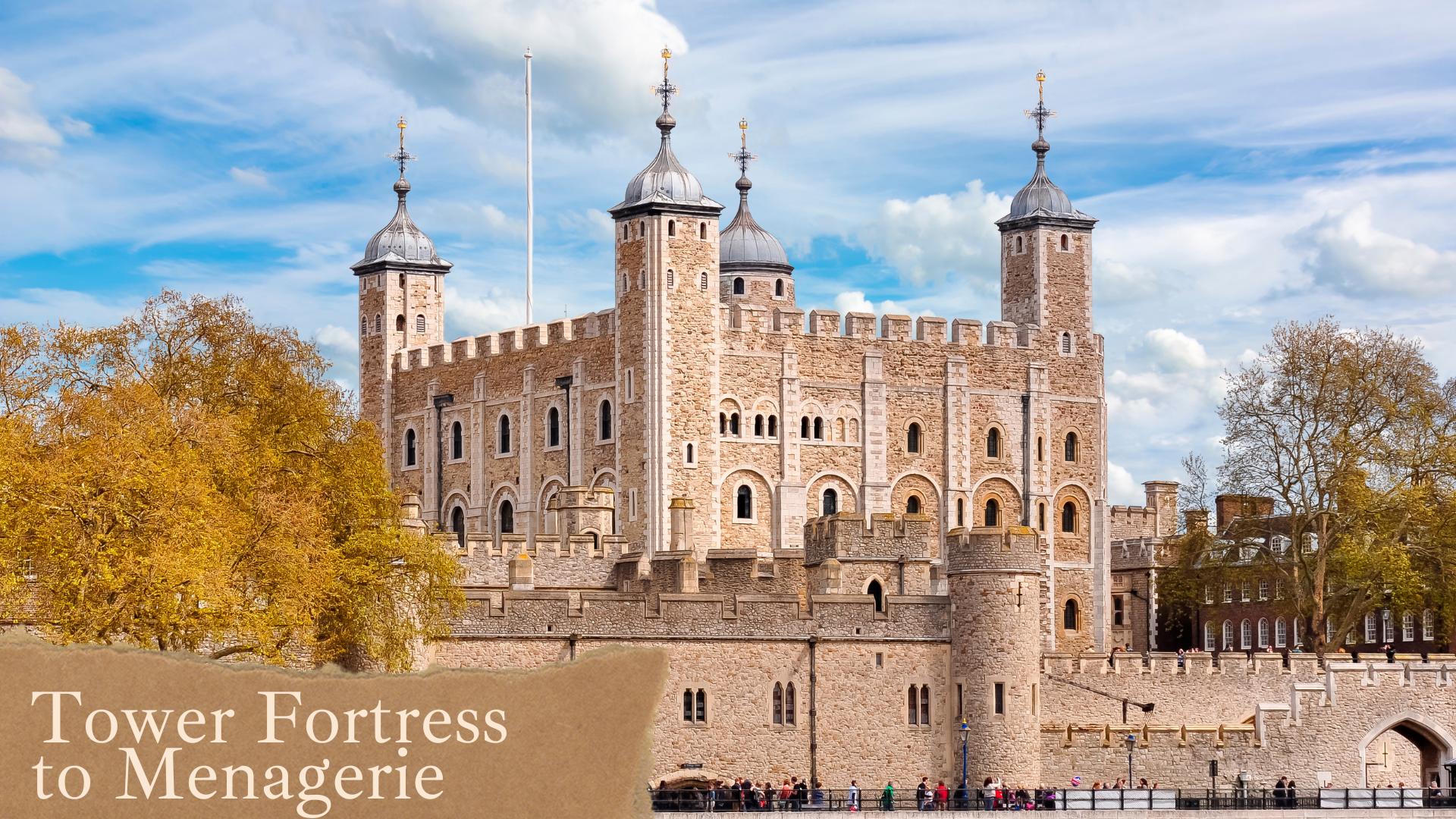 International Zoo Day: The Tower of London: From Fortress to Menagerie