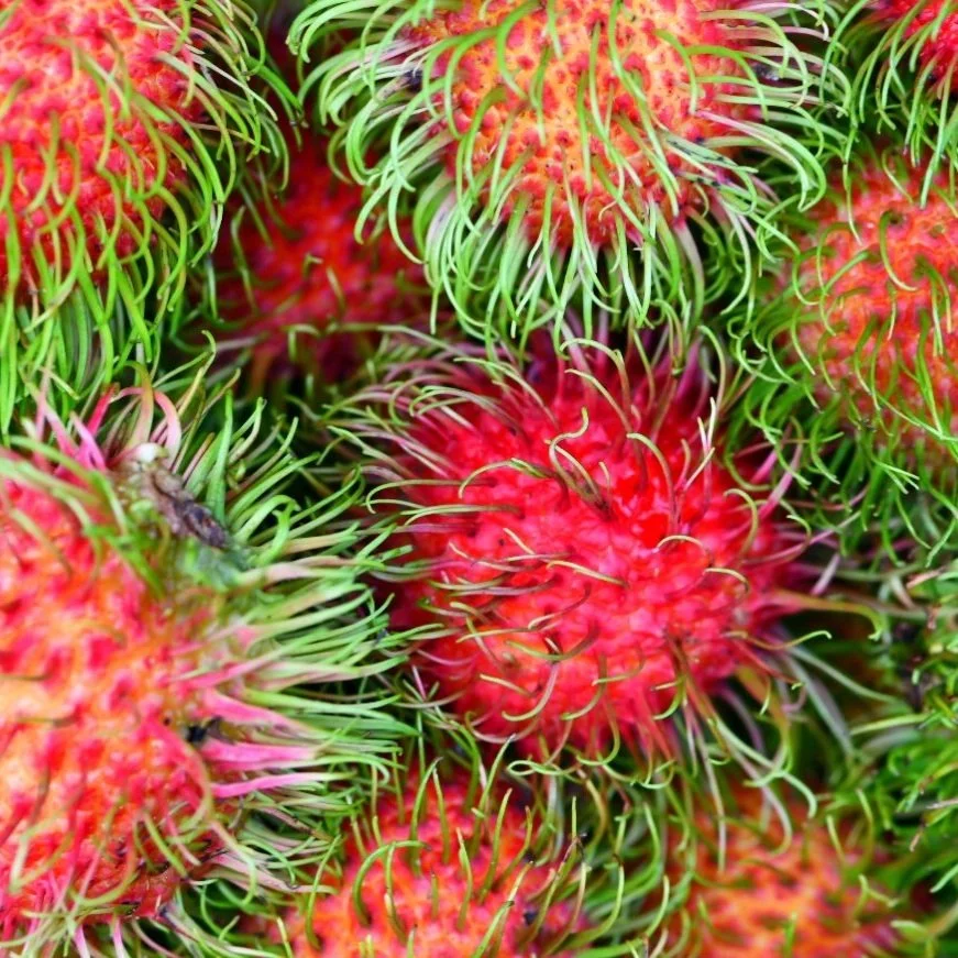 Weird World Fruit - The Rambutan