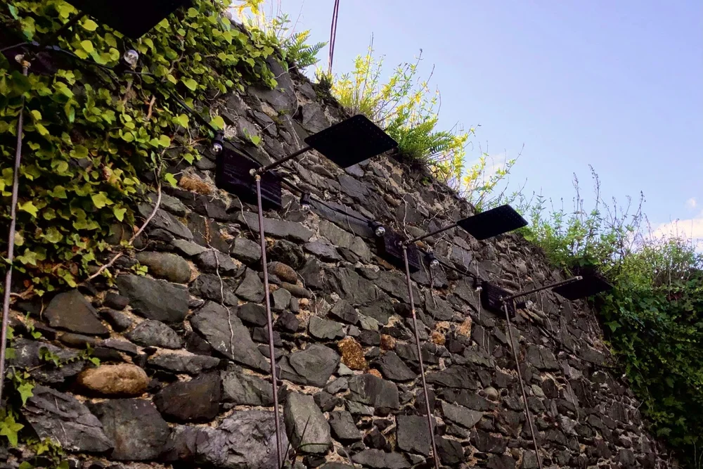 Sauna Greystones The Barrel Sauna Wicklow — The Barrel Sauna