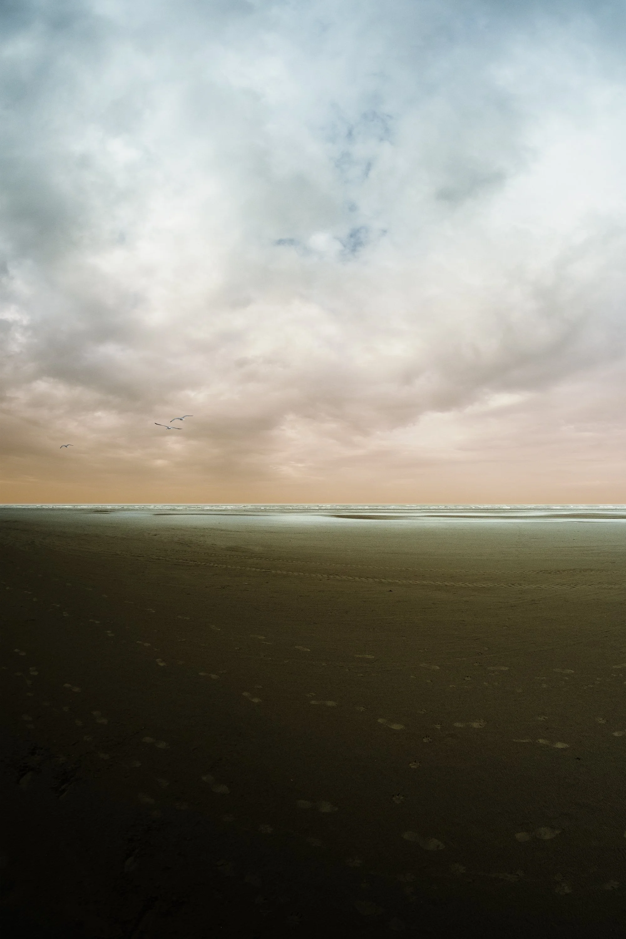 SEA OF COLOUR 08 - jh.jpg